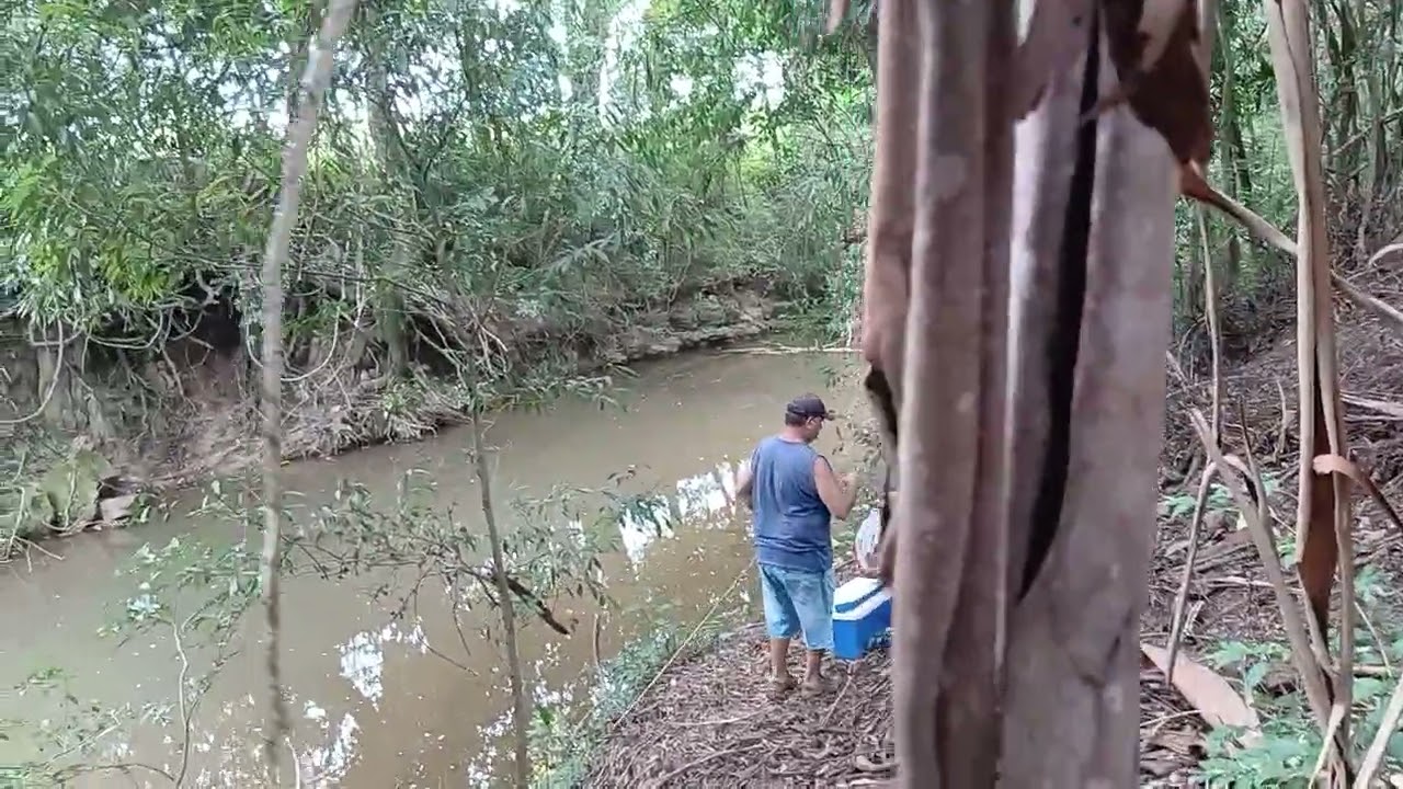 Fomos no Ribeirão  tentar pescar uns lambari 