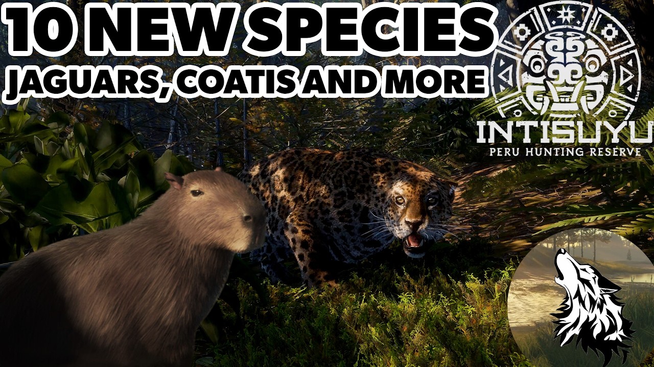 G1 JAGUAR?! Coatimundi's, Caiman and MORE! NEW PERU map! theHunter Call of the Wild