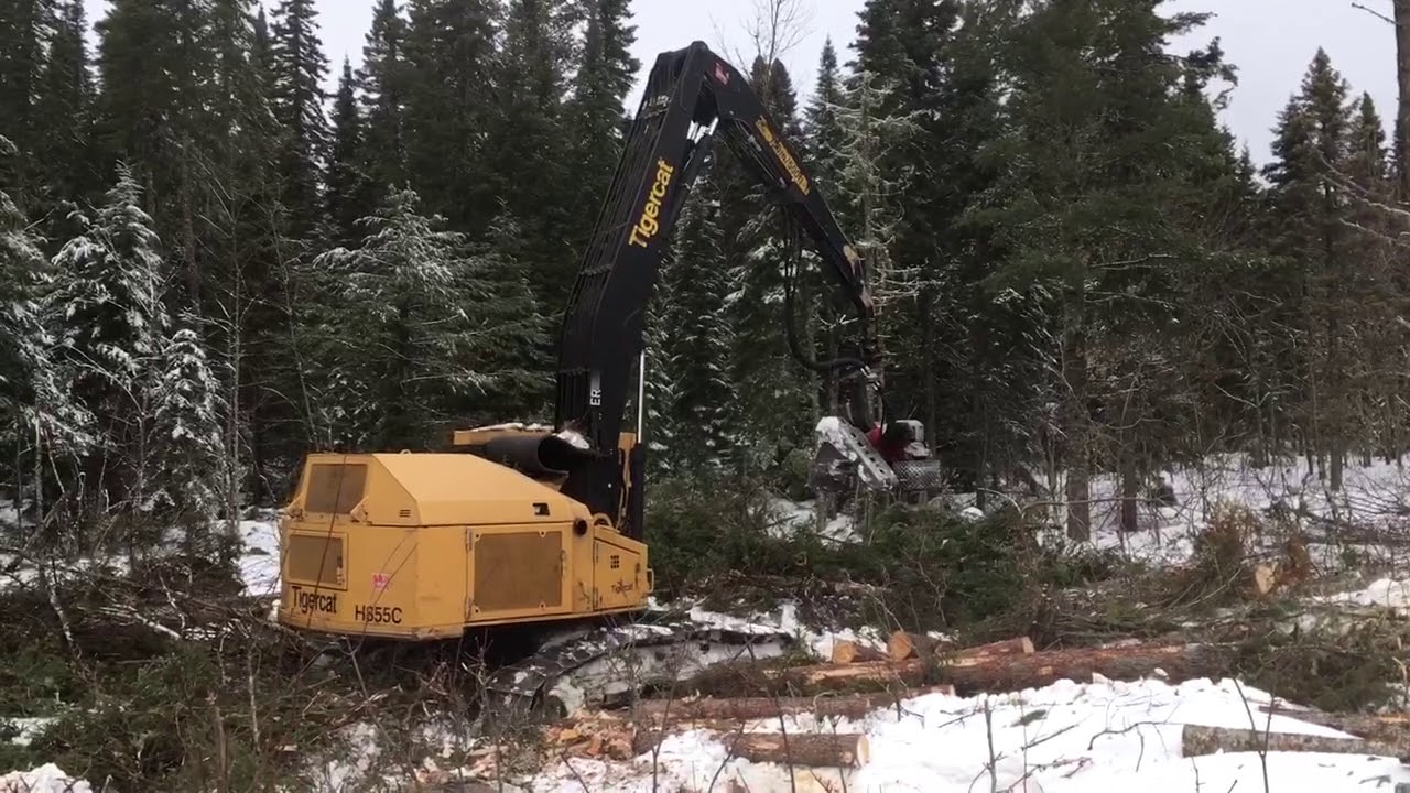 TIGER CAT 855C avec une LOGMAX