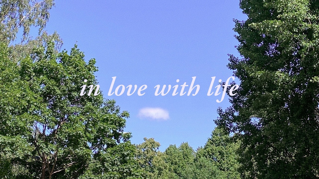 falling in love with life | a calm piano playlist