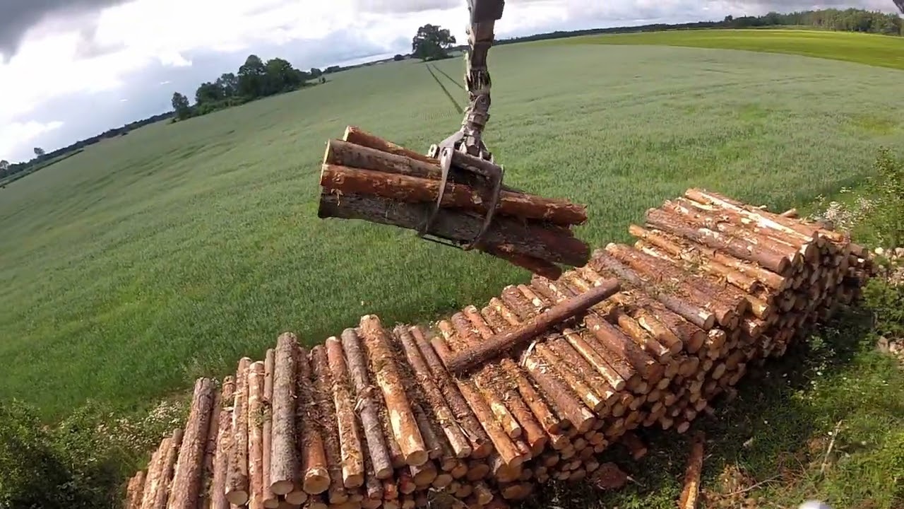 Loading & unloading pine tree #bergsteigen #scania #automobile
