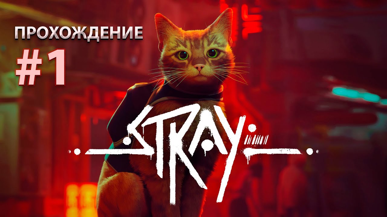 STRAY: Прохождение [#1]