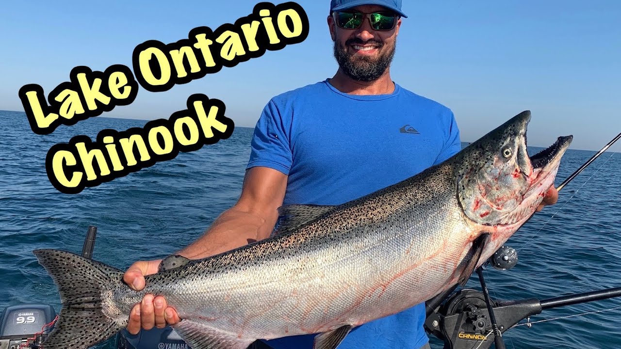Salmon Fishing Lake Ontario in August