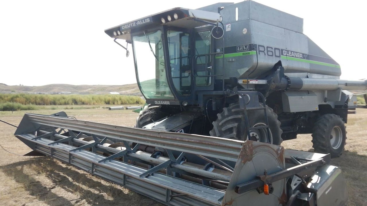 Gleaner R60 Combine | 2024 (Sound Only)