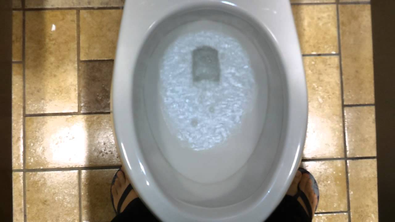 Bathroom Tour: American Standard Toilet and Urinal at Food Lion
