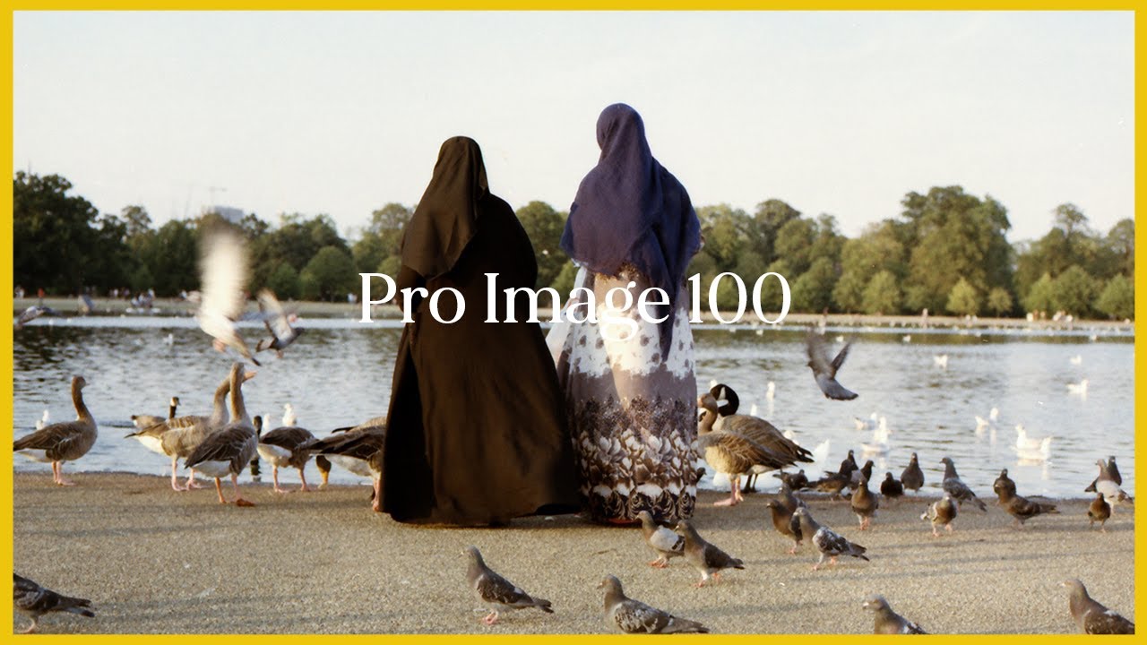 Kodak Pro Image 100 (Poor Man's Portra) // Film Stock Review