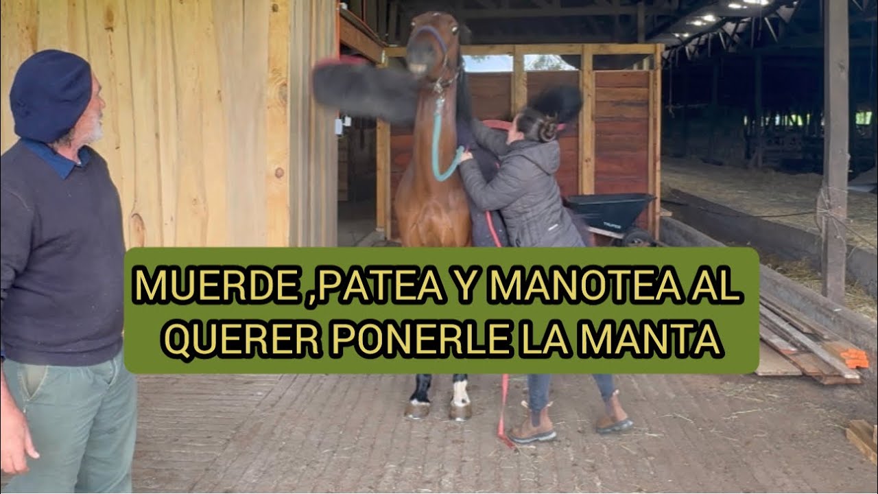 PORQUE OTROS FALLARON CON ESTA YEGUA ?