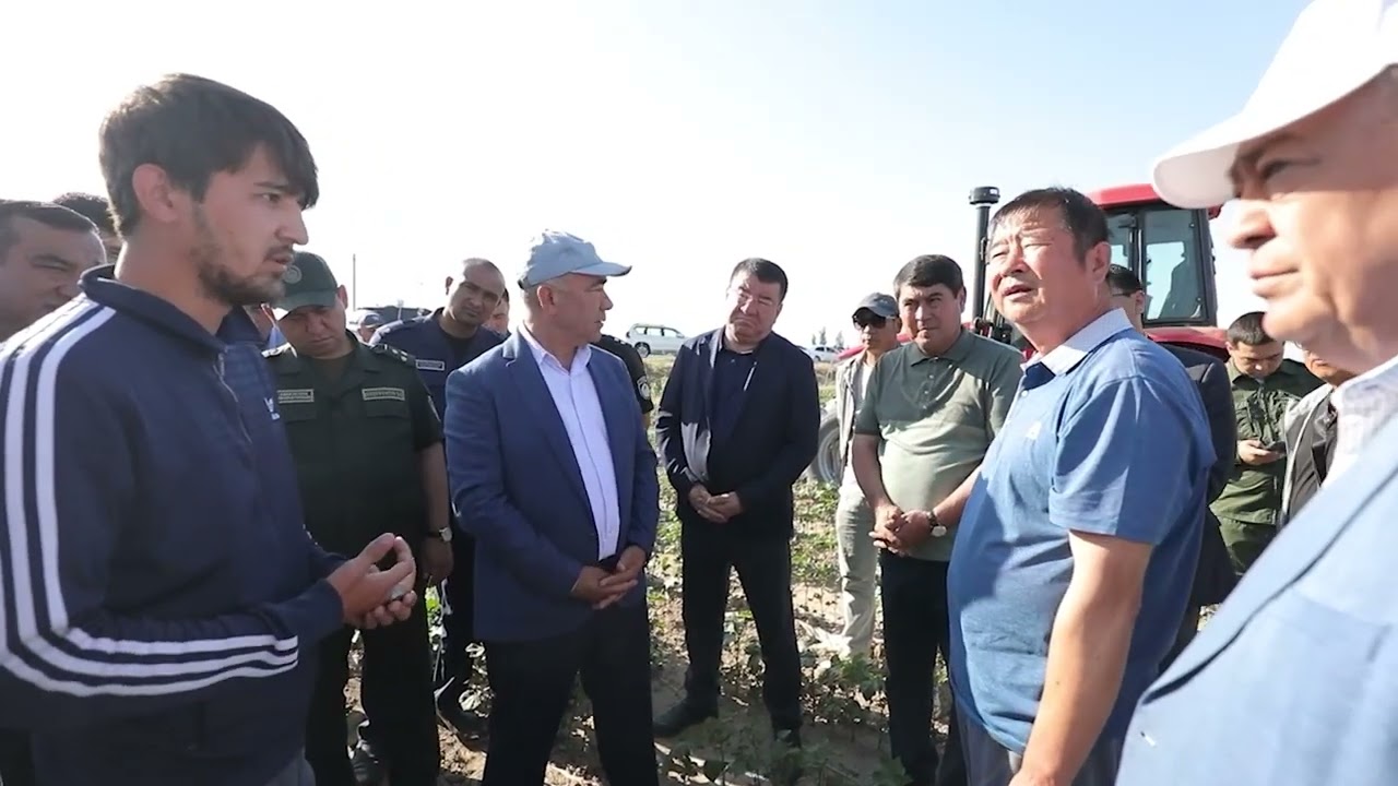 Вилоятда ғалла ўримига старт берилди
