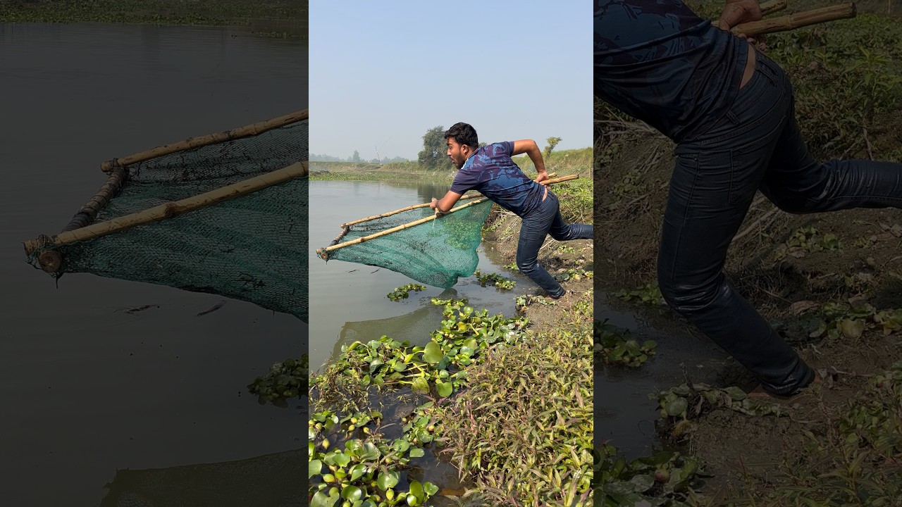 Village Boys Catch Big Fish in Kachuripana 