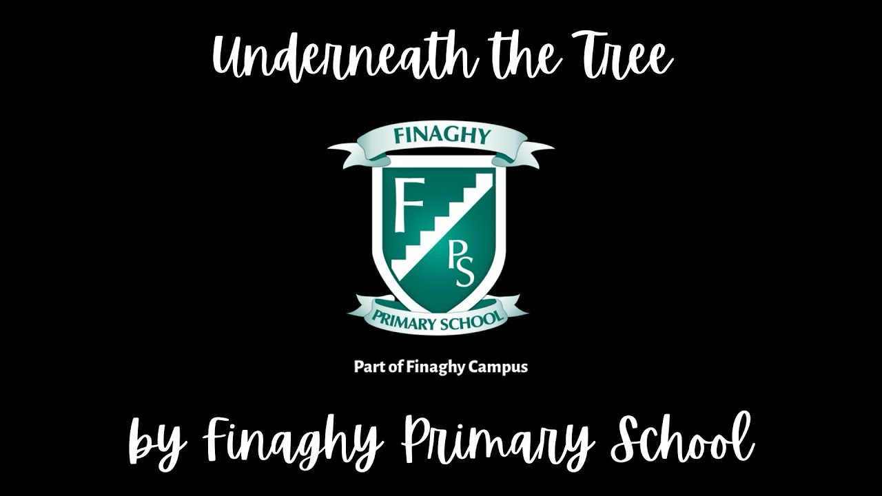 Underneath the Tree by Finaghy Primary School!