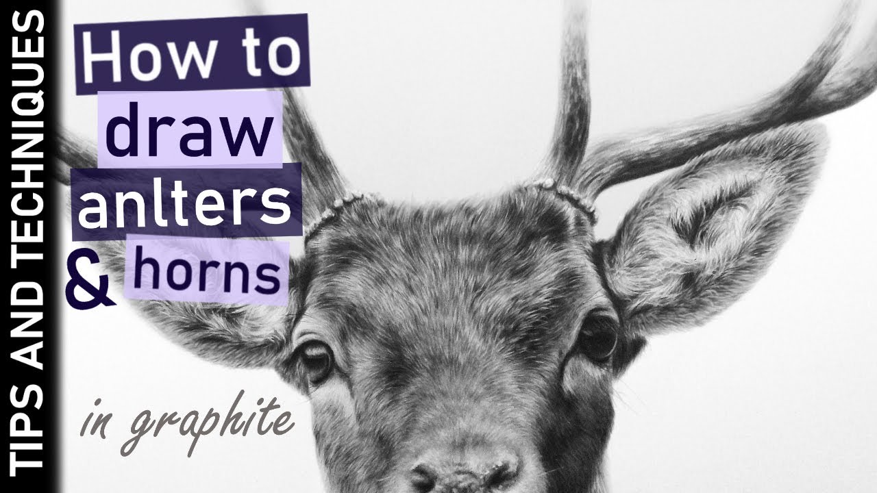 How to draw antlers and horns in graphite | Photo realistic animal drawings