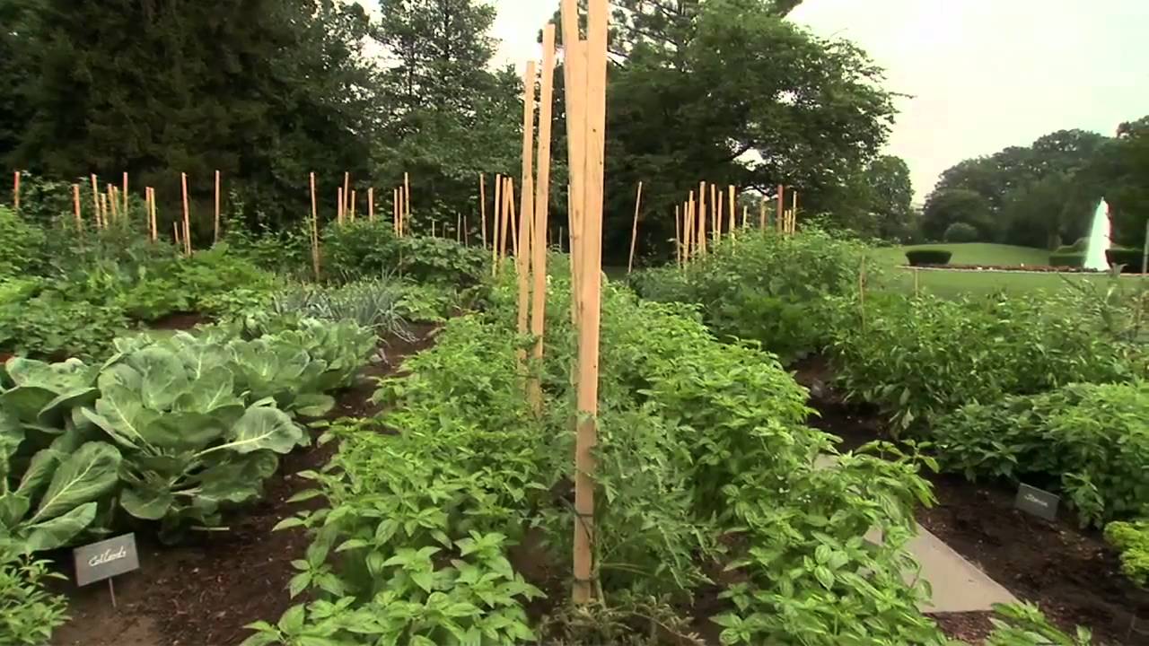 White House Garden - Interview with Michelle Obama