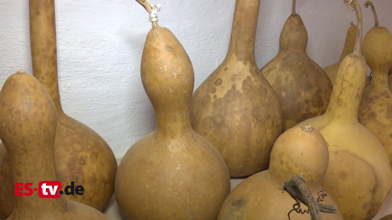 Pumpkin Art: Kunst aus Kürbissen