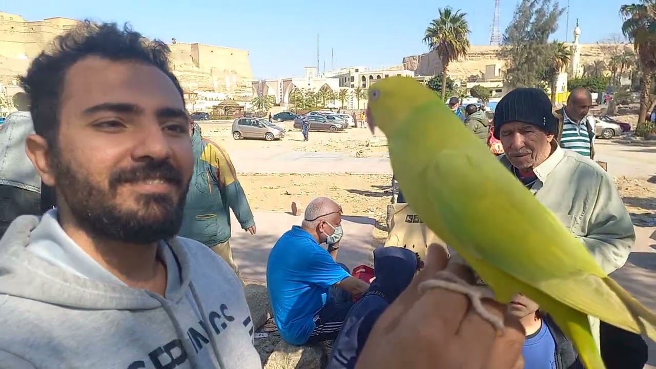 فيروز من النوادر في سوق الجمعة💯💚⚘️وكمان هادية جدا ما شاء الله التفاصيل والسعر والتليفون في الفيديو❤️