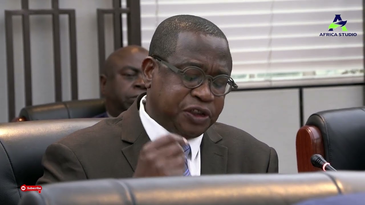 Zim to dump multi currency system by 2030