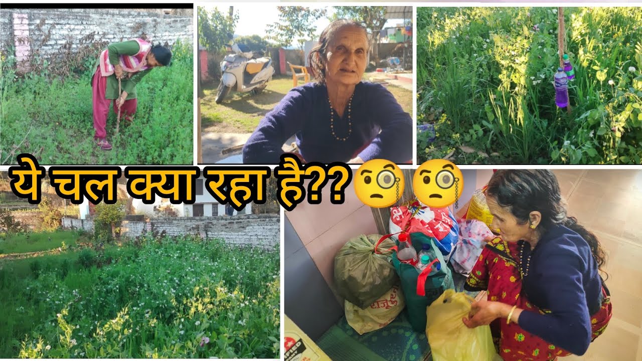 Bhandaron ka aatank ab kam hoga..🐒||gariya vlogs||