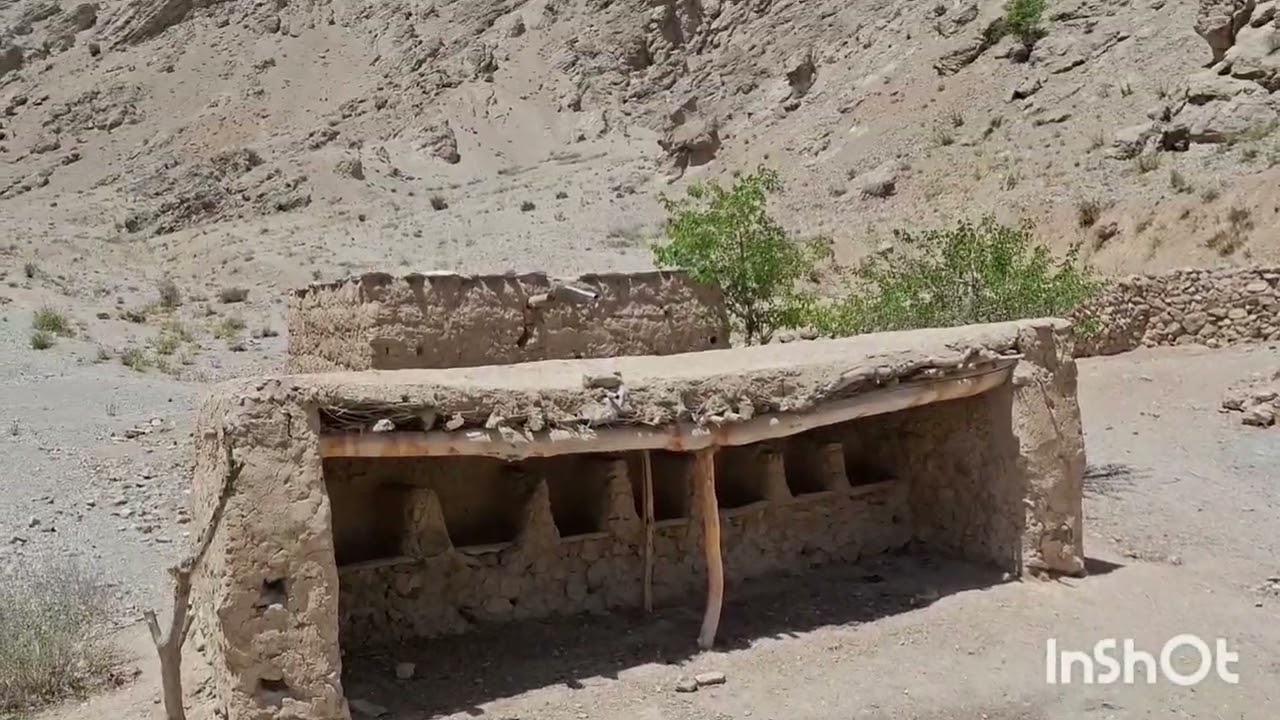 ویدیو از زمین و خانه  علی آغا دیبه زمان ولسوالی ارزگان #افغانستان 