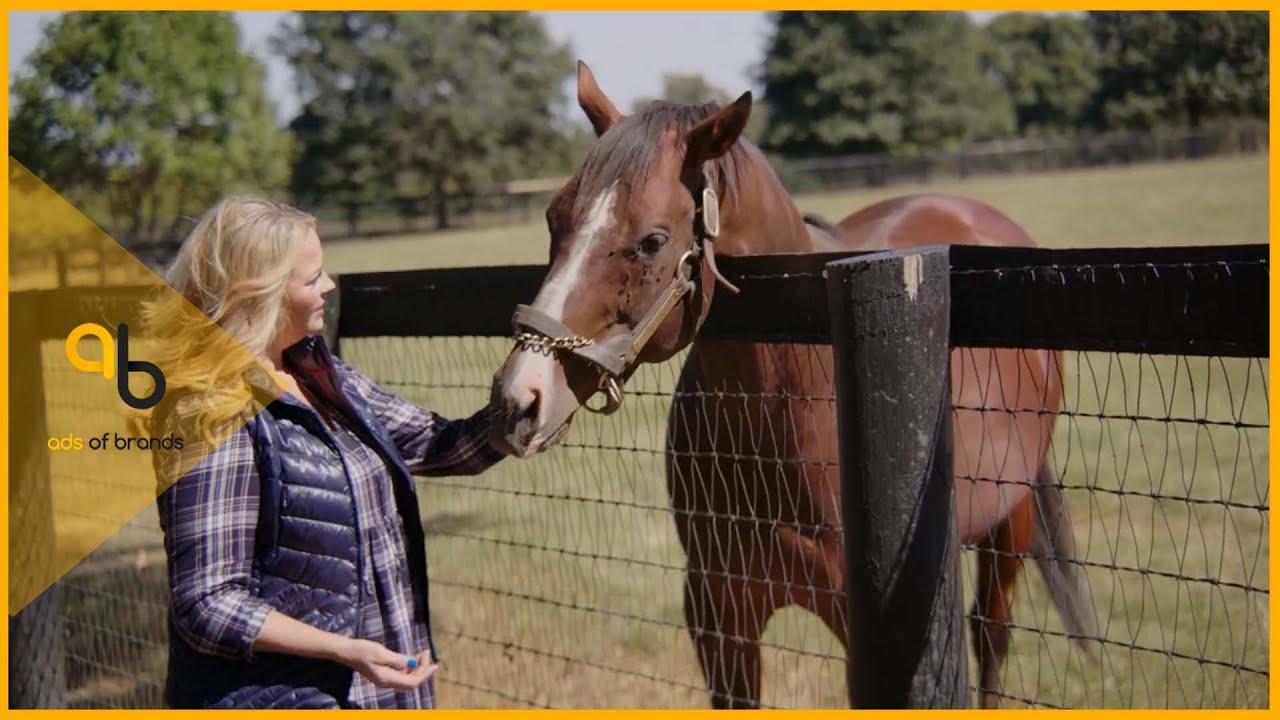 Visit LEX: The World's First Travel Review By Horses