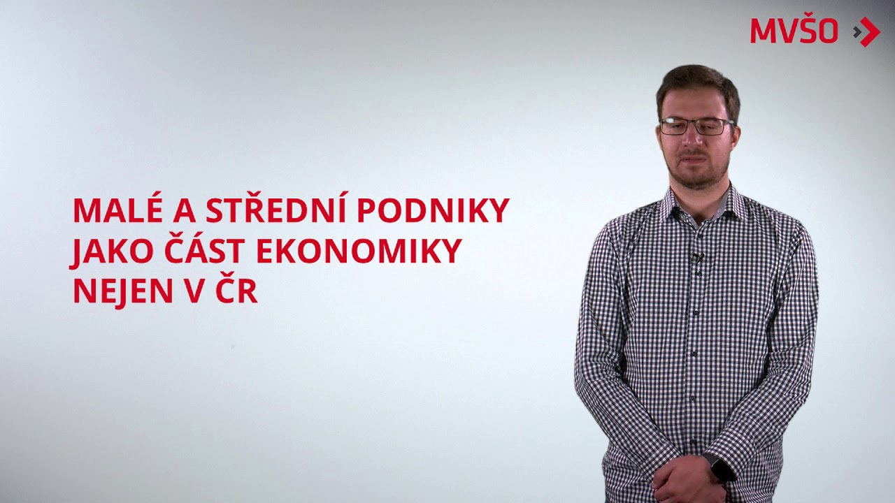 Specifika malého a středního podnikání | EDULAM