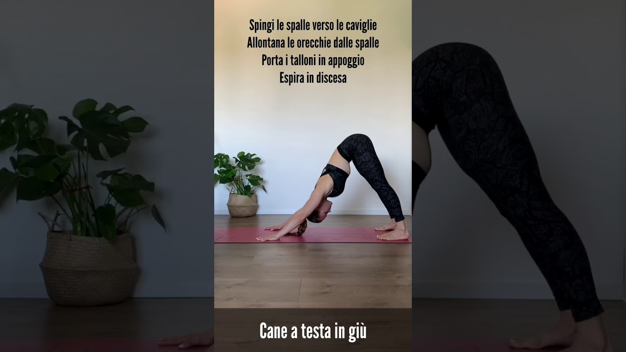 Strengthen your lower back w/ physiotherapist Silvia Favale