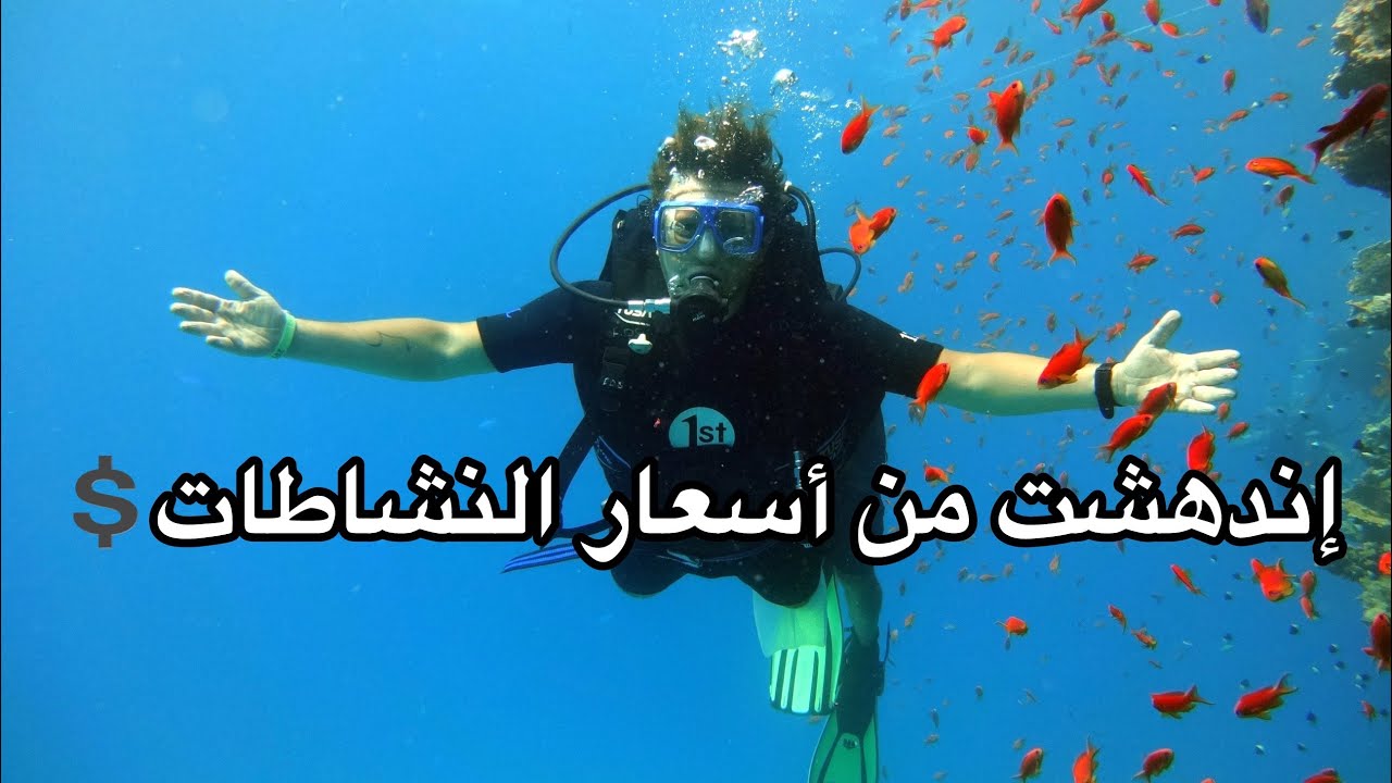 القليل من النقود كانت كافية لتحقيق  حلمي في شرم الشيخ  | Diving Sharm el sheikh