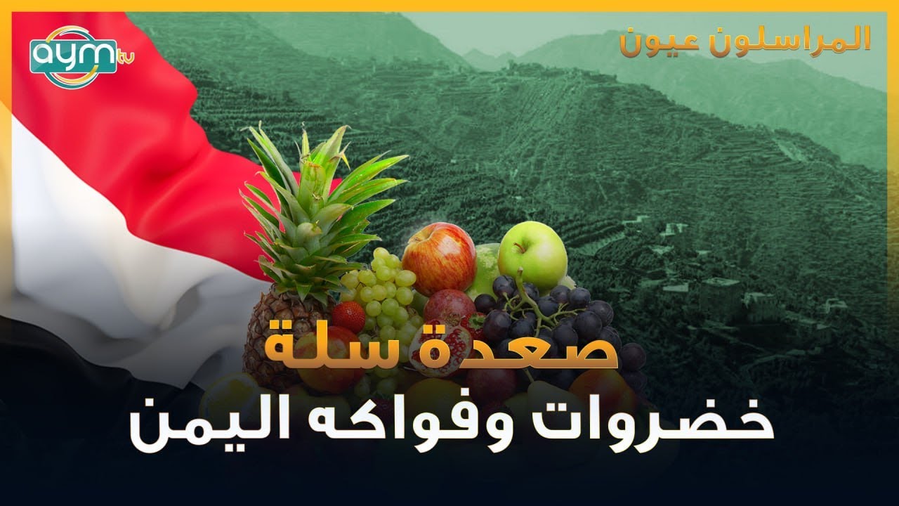 المراسلون عيون، صعدة سلة خضروات وفواكه اليمن