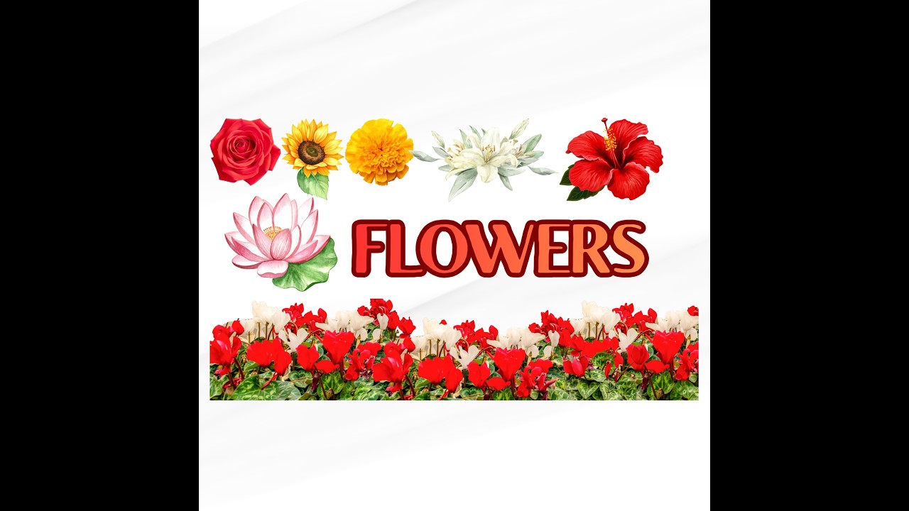 Beautiful Flower Names in English | Learn Flower Names for Kids | BrillionsMindz