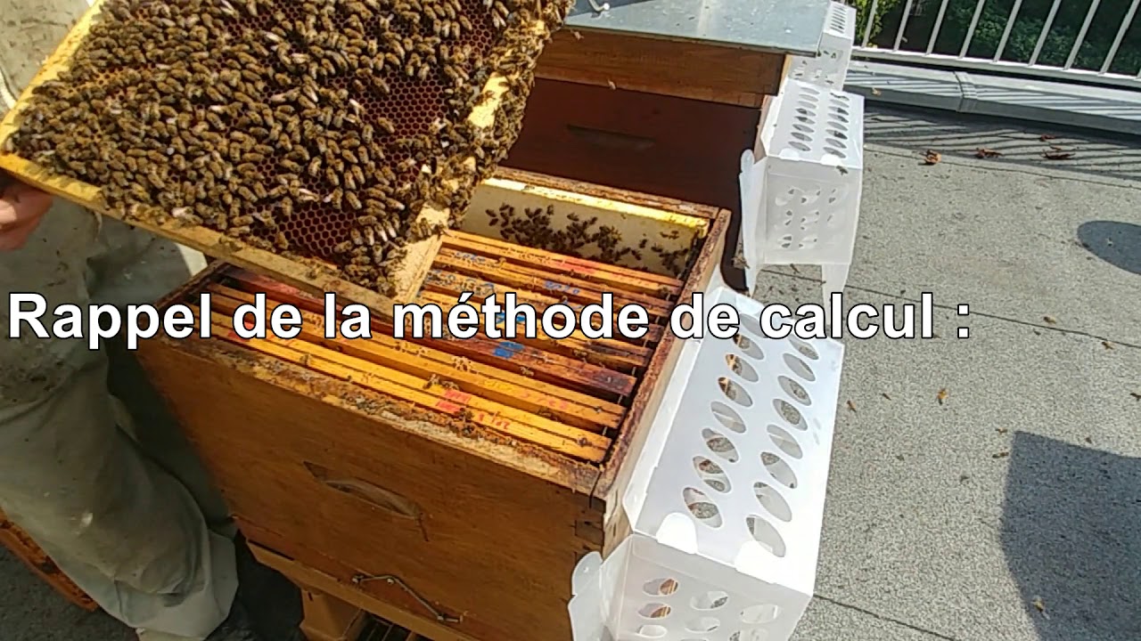 Tome 24 – 1 -  Nourrissement. Danse de Karl Von Frish.
