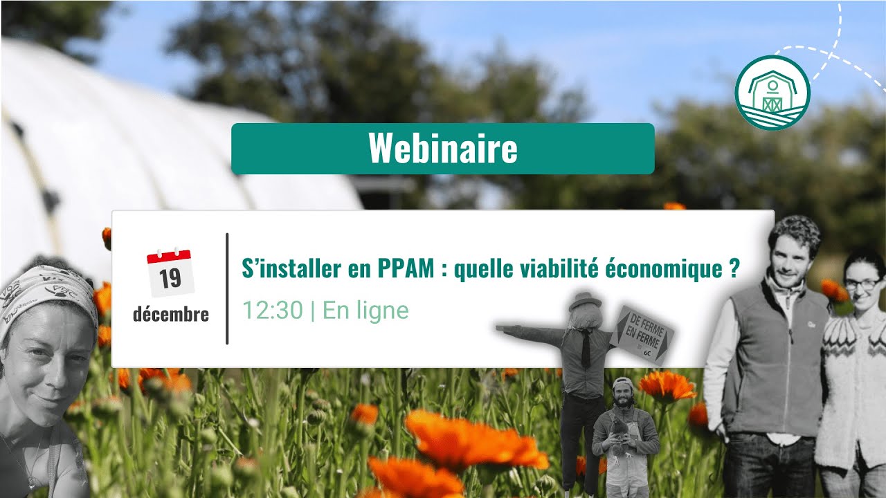 Webinaire - S'installer en PPAM : quelle viabilité économique ?