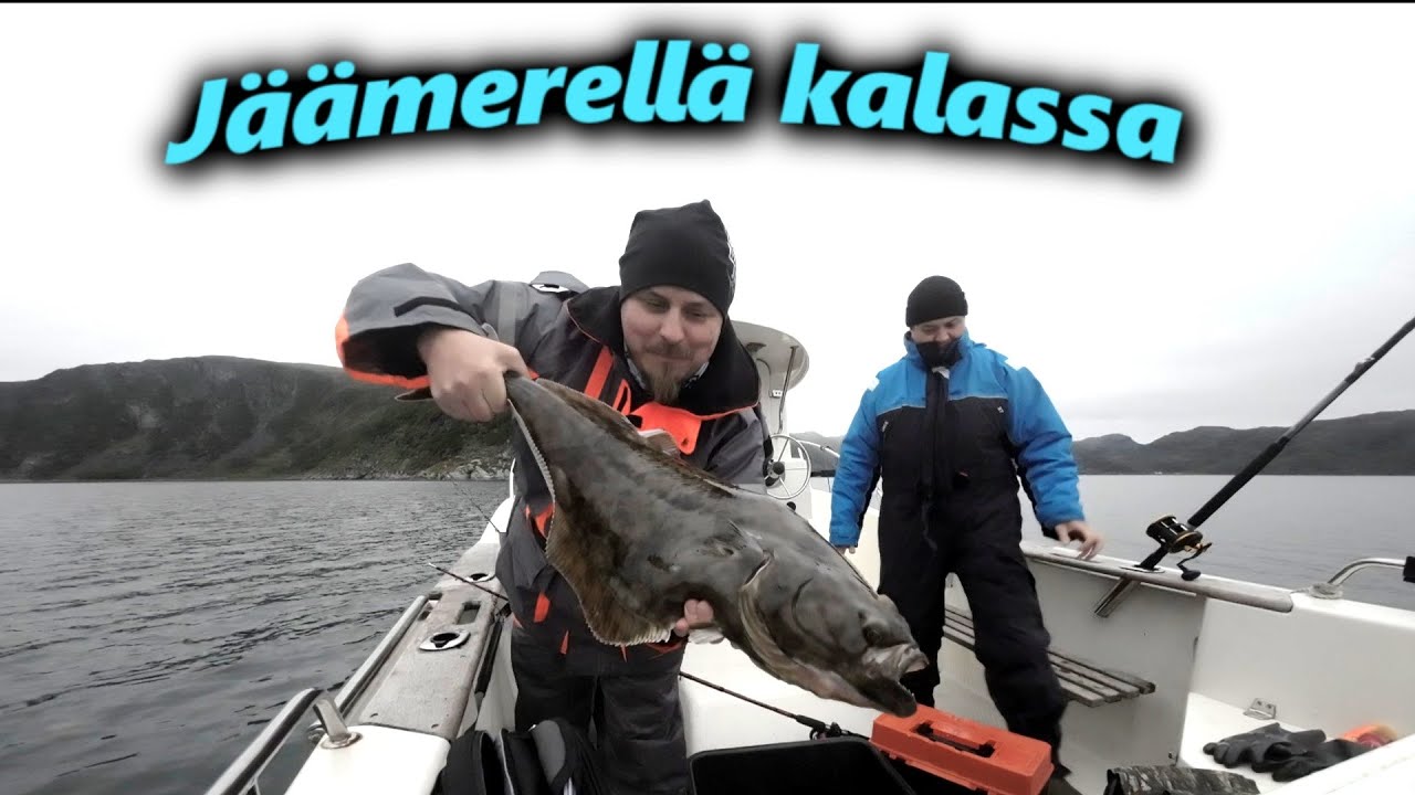 Syvänmerenkalastusta Norjassa | Seiland 2023 osa1