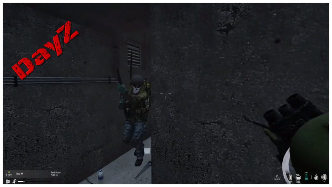 DayZ ,(PS4,Official) Attacking & Defending on Official Servers