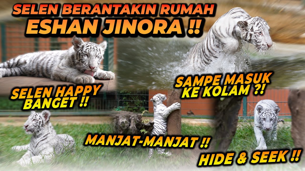SELEN MAIN KE PLAYGROUND NYA ESHAN JINORA ! SELEN SENENG BANGET SAMPE SELINCAH INI !!
