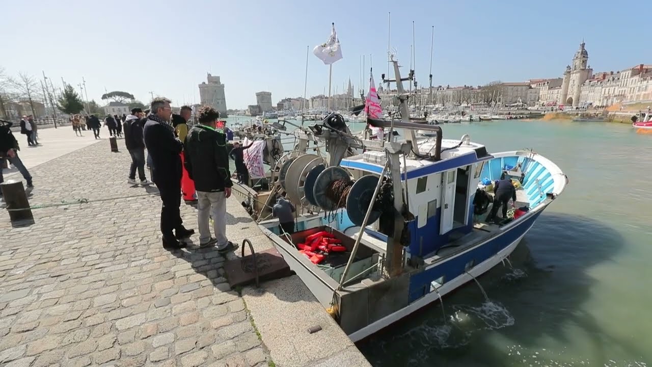 Manifestation des Marins-Pêcheurs sur le vieux port de La Rochelle
