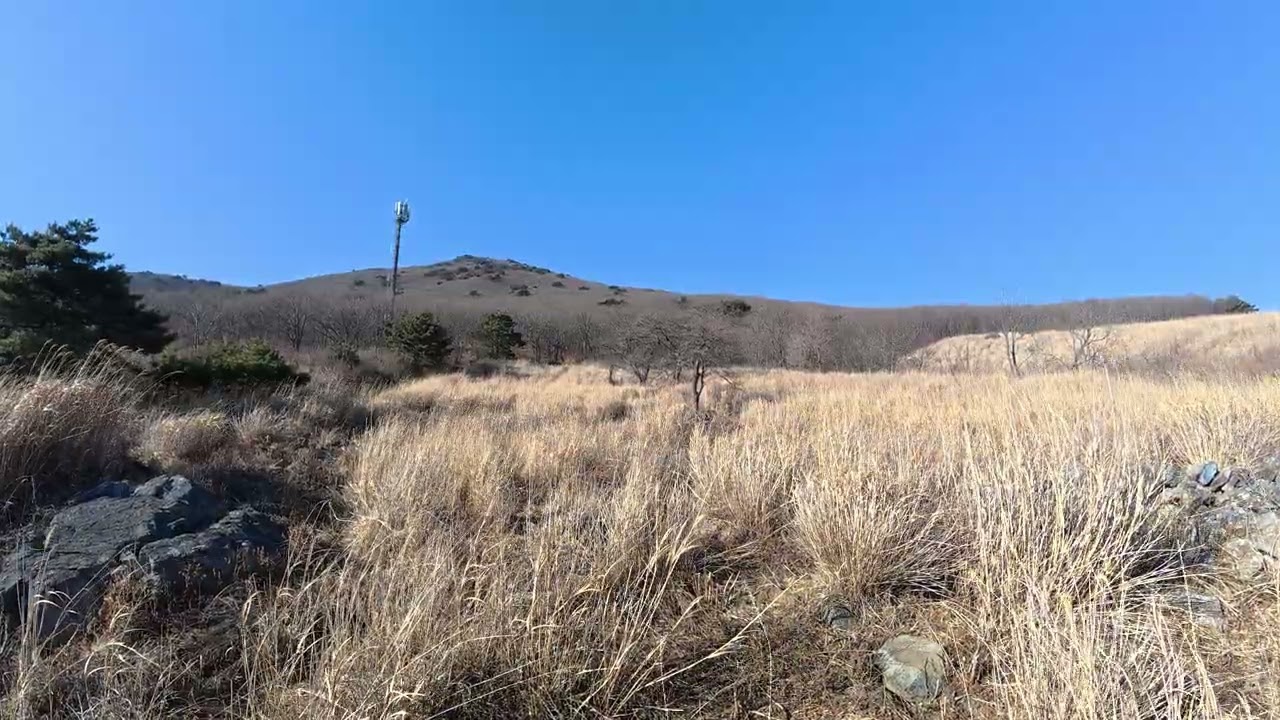 재약산 억새밭 소리(Silver Grass)