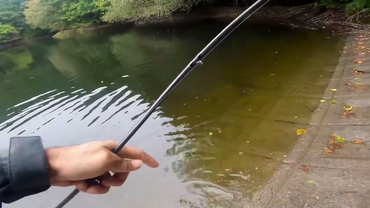 新規開拓　初場所チャレンジ　おサカナはいるでしょーか⁉️