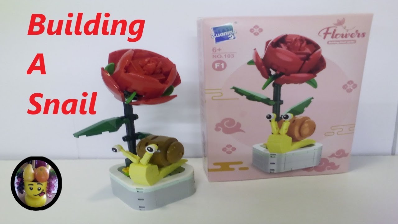 Let's build a Flowers Building Block Snail