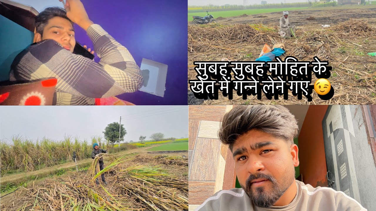 सुबह सुबह मोहित के खेत में गन्ने लेने गए 😉