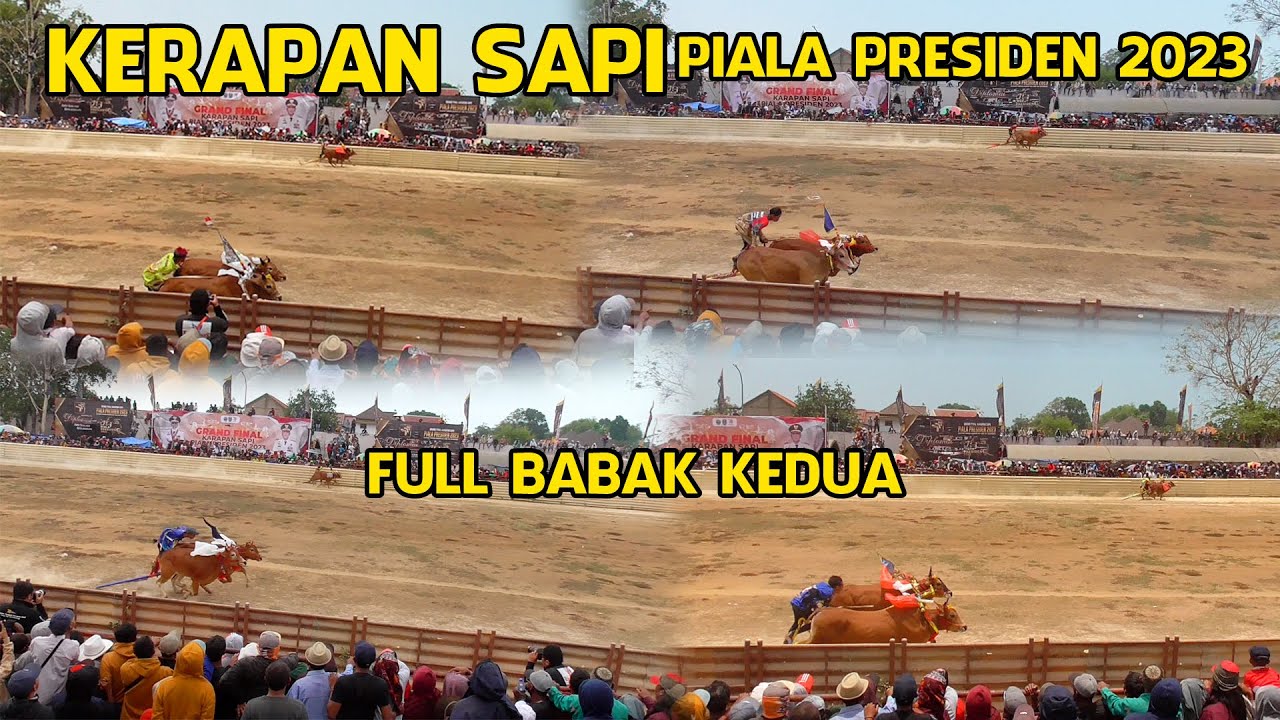 Kerapan Sapi Full Babak Kedua Piala Presiden 2023