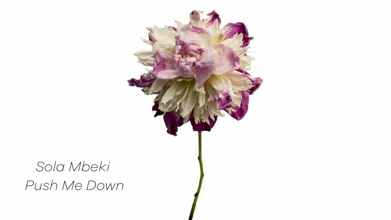 Sola Mbeki - push me down
