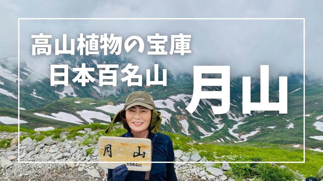 4K 【月山】　まだまだスキーシーズンの月山に登ったら、高山植物咲き誇る天空のお花畑だった！