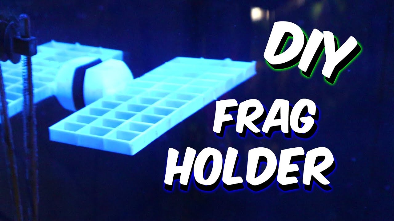 DIY Coral Frag Rack ( Great For Green Star Polyps ) - A1A Adventures