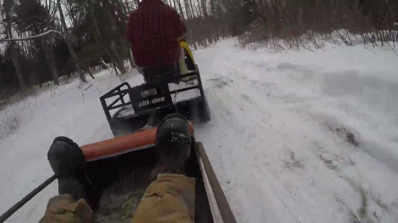 Skidoo Alpine 1979 - to Blood's!!