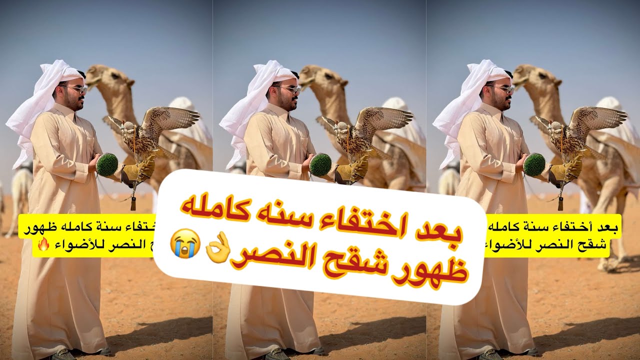 كفو ابو النصر مخلد ابو تميم ابو حشر😂😂#سنابات #غازي_الذيابي 