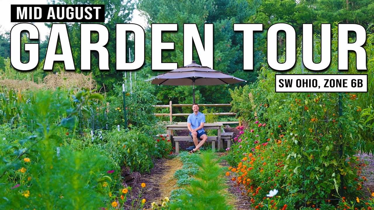 Mid-August Garden Tour | What’s Thriving, What’s Struggling & Fall Prep