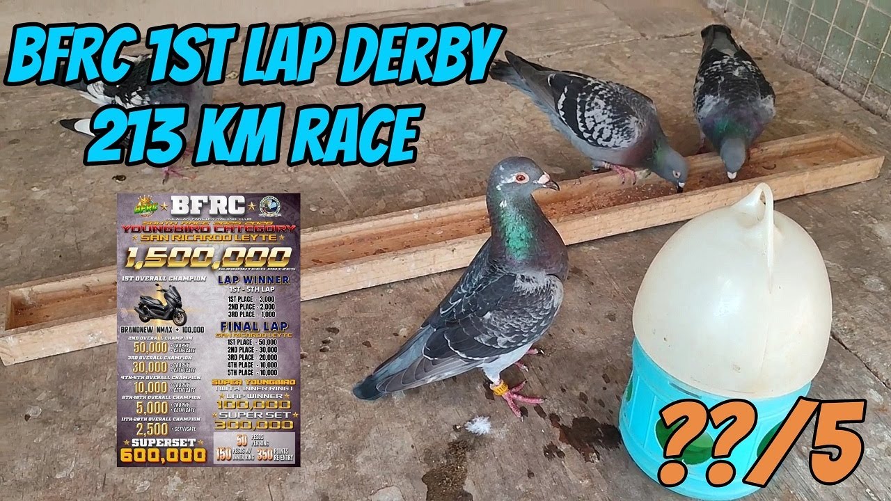 BFRC 1ST LAP DERBY CATANAUANZ QUEZON  213KM