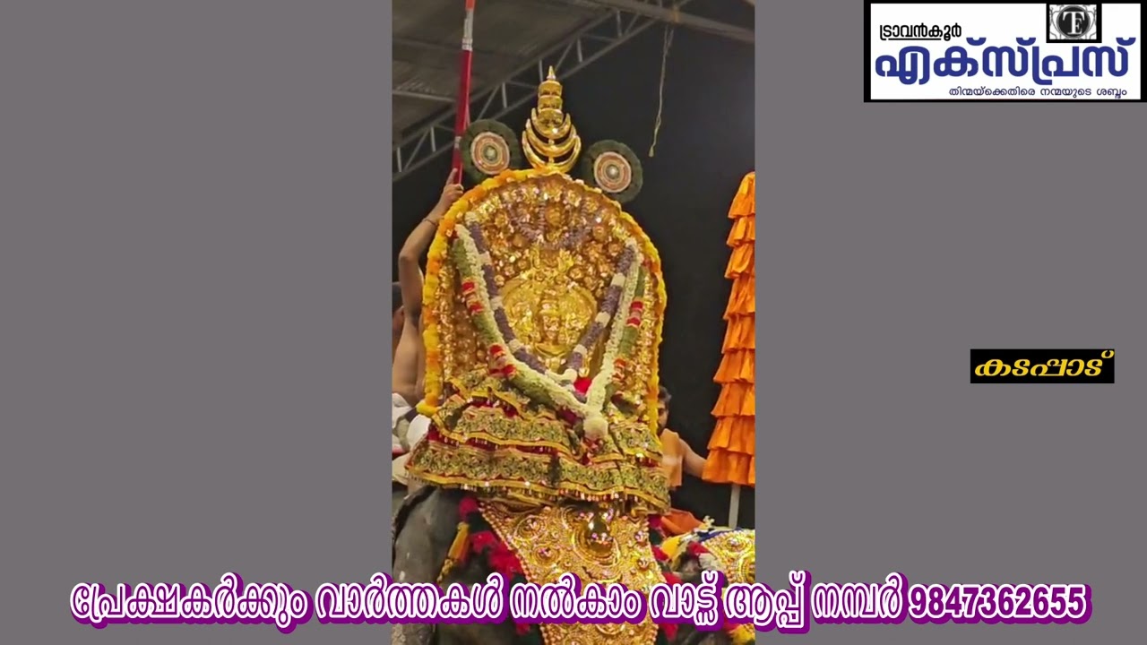 ഏറ്റുമാനൂർ ഏഴരപ്പൊന്നാന എഴുന്നള്ളത്ത്.