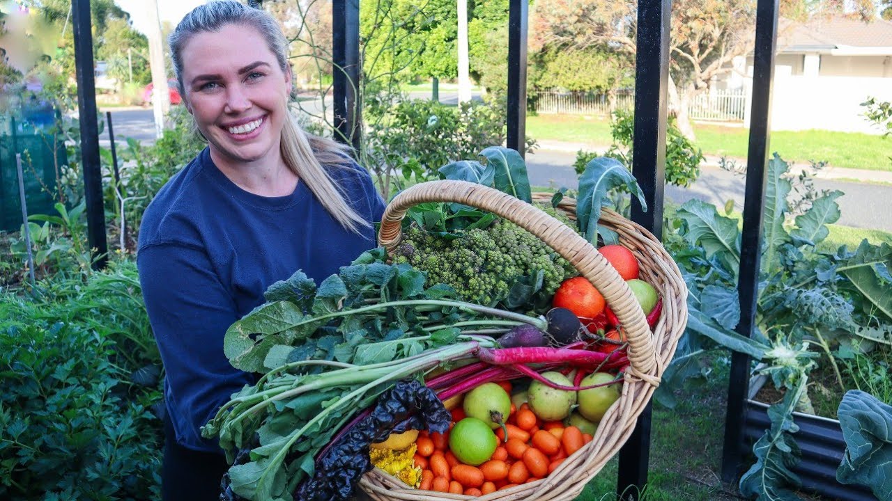 Abundant HOME GARDEN HARVEST + surprise self-seeded hybrids
