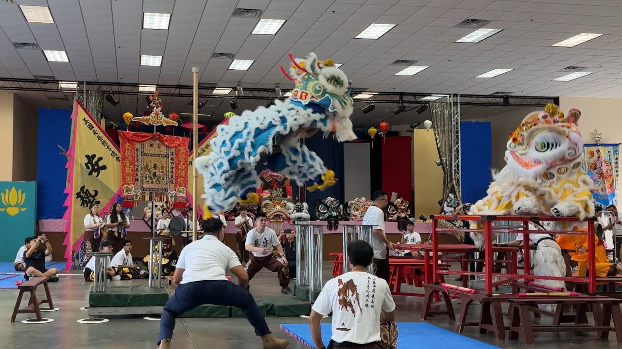 On Ngai Inauguration Lion Dance Performance