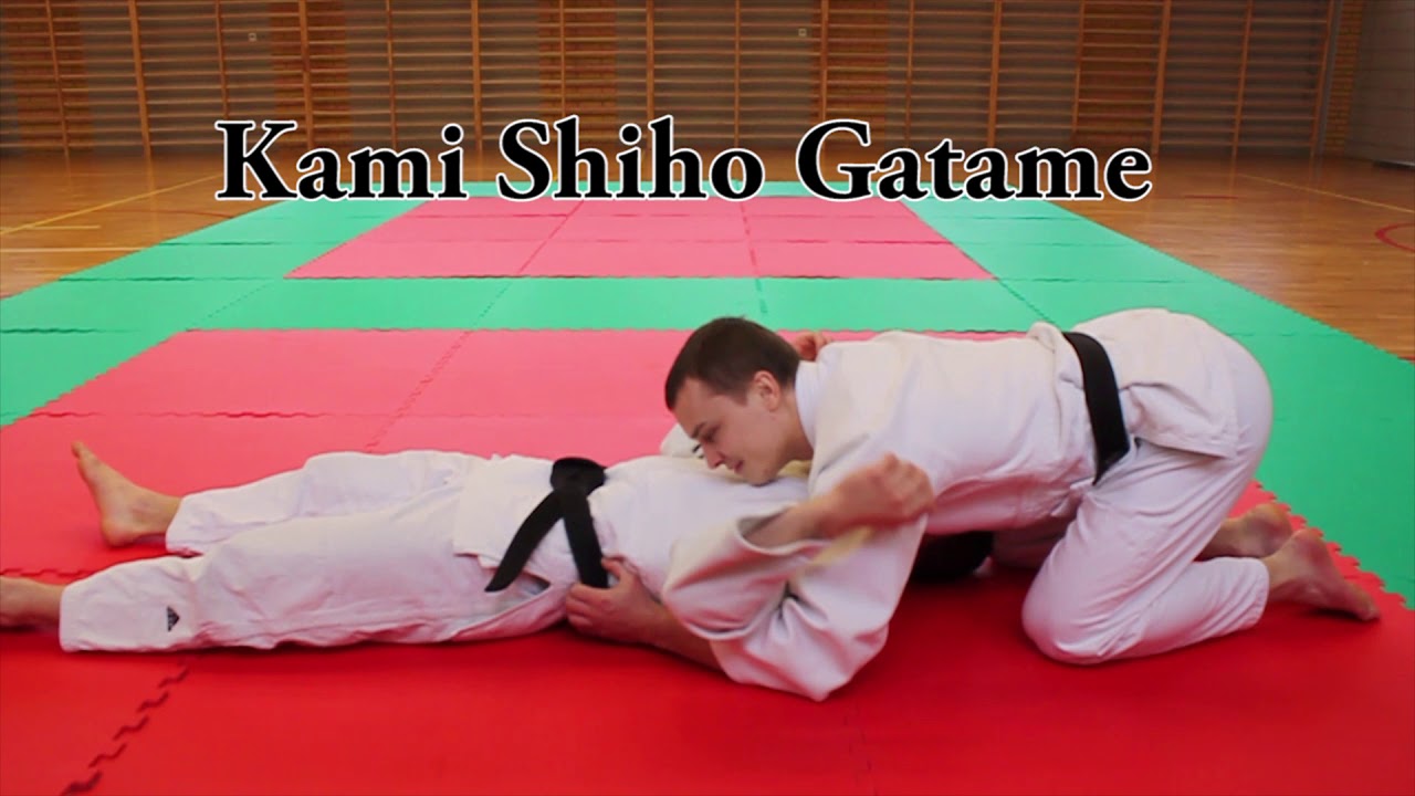 Elementy części praktycznej na biały pas (6 kyu)