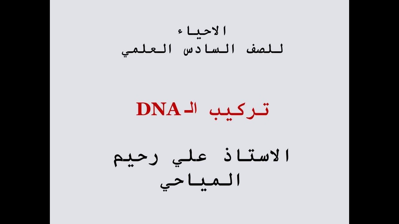 تركيب الـ دي ان اي DNA
